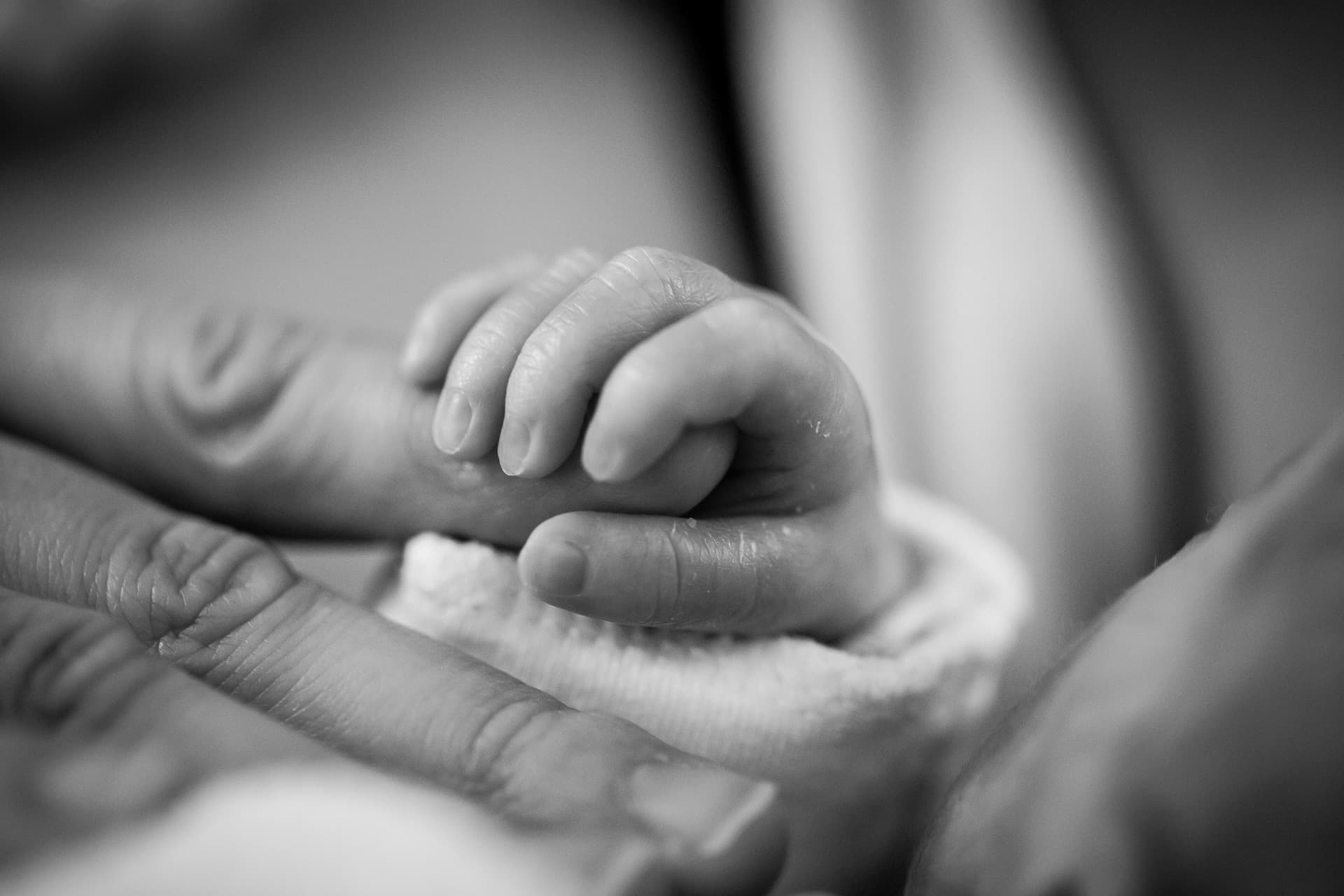 Baby holding an adult’s finger in a close-up macro shot
