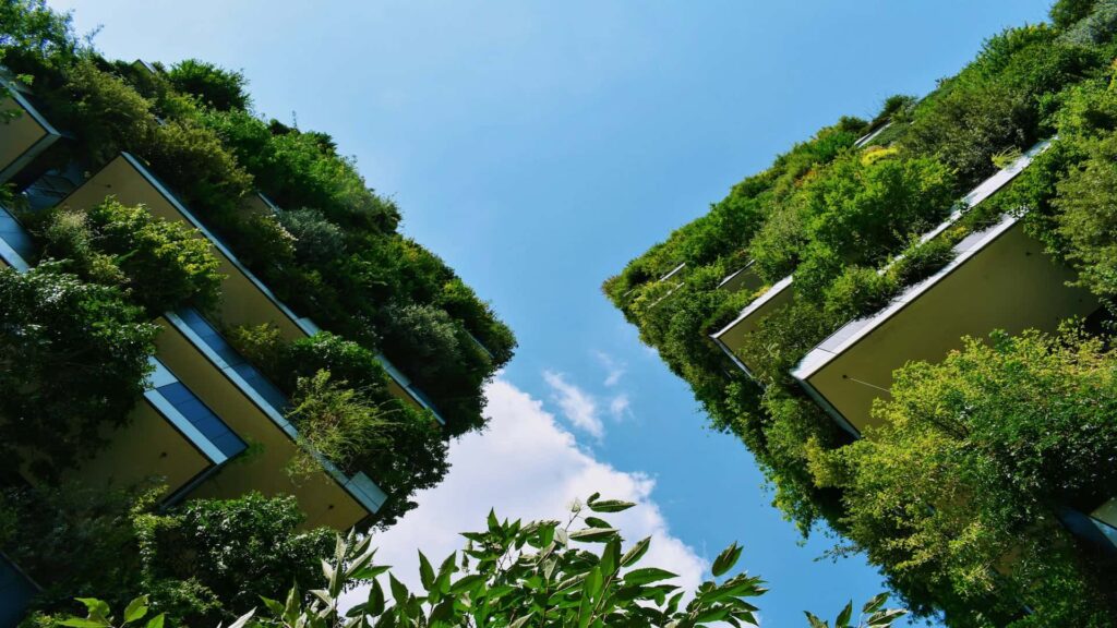 Green roof buildings