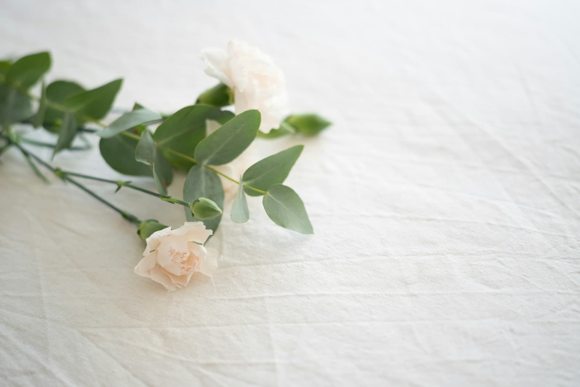 White flower on white textile